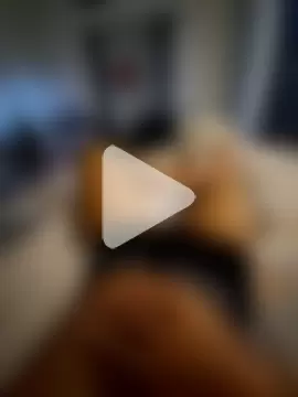 TheLonewolf8 photo 10