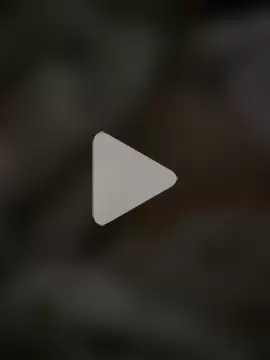 Thebigbiengrosse photo 3