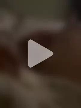 Thebigbiengrosse photo 2