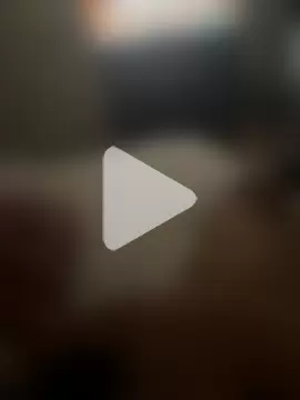 Thebigbiengrosse photo 1