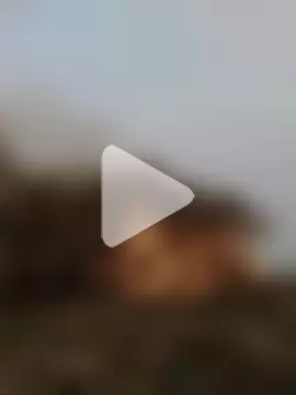 ThethunderPo photo 21