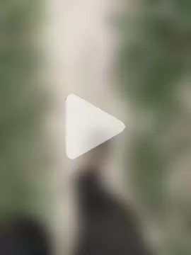 ThethunderPo photo 10