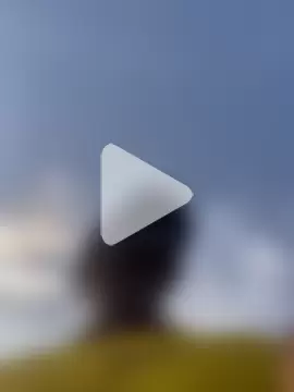 ThugMansion420 photo 3