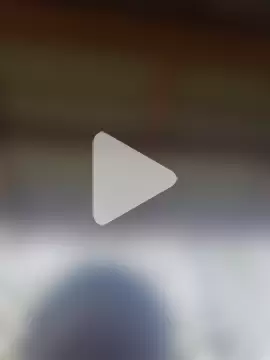 TigOBittiesTheOriginal photo 10