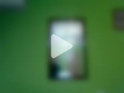 Tiger202441 photo 17