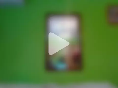 Tiger202441 photo 15