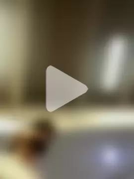 Tomas_Olivia photo 11