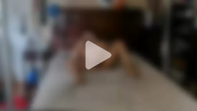 TommyPNP2846 photo 20