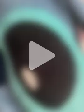 Torriskieeee photo 2