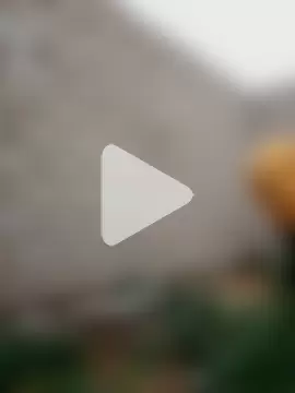 Touch_mysoul photo 9