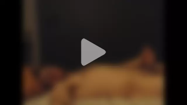 TowerOfAlex photo 29