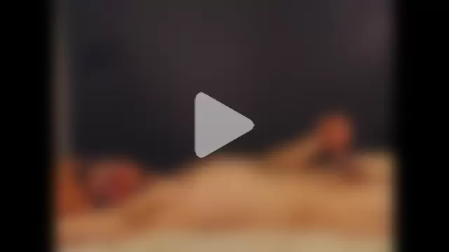 TowerOfAlex photo 25