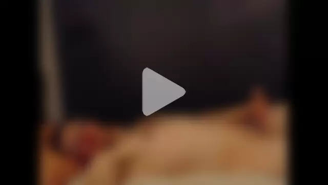 TowerOfAlex photo 14