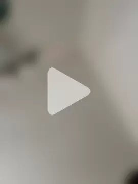 TransboyJay photo 16