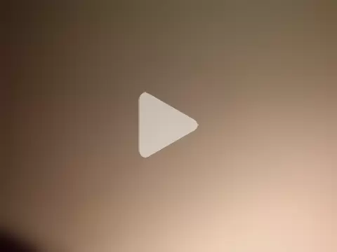 Treemandude photo 25