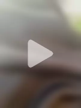 Tu_PaPi_Favorito photo 3