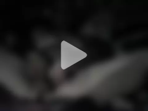 Twoslipperywhenwett photo 18