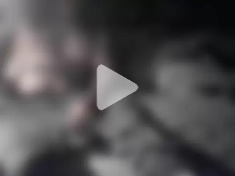 Twoslipperywhenwett photo 17