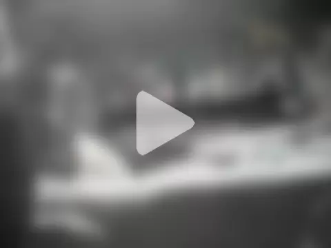 Twoslipperywhenwett photo 8