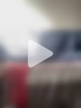 Uncleuncutmushroom photo 18