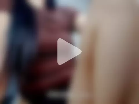 Urasian_ladybug photo 11