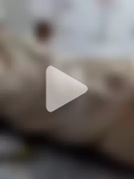 Uttarakhand1997 photo 1