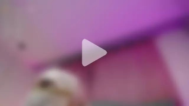 Uzziah_Sabag photo 23