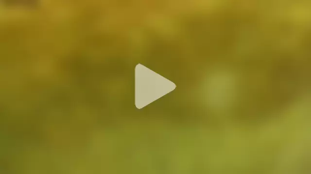 ValentinaKlean photo 28