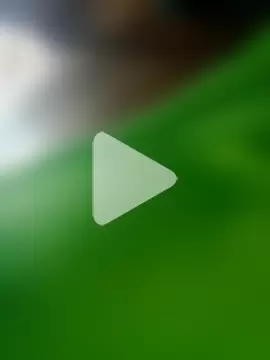 ValeriaSantos- photo 13