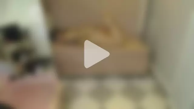 Valerie_moon_b photo 26