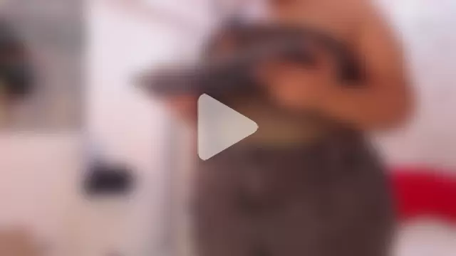 ValeryBerri photo 18