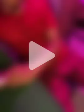 Vampiredaddy_ photo 2