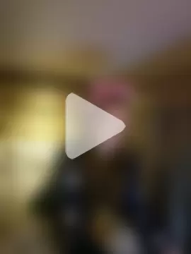 VanLifeVixen photo 17