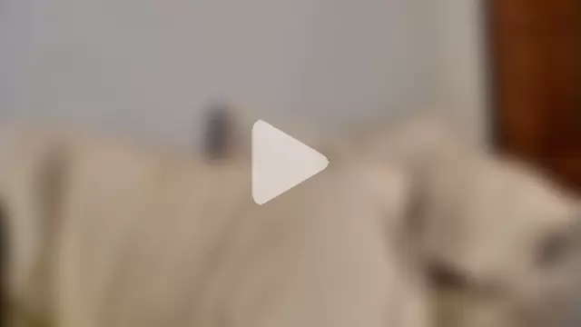 VanceFontaine photo 29