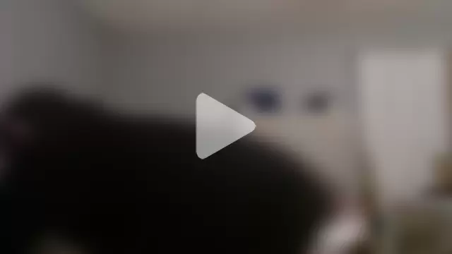 VanceFontaine photo 6