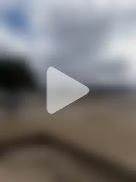 VaneandRossy photo 18