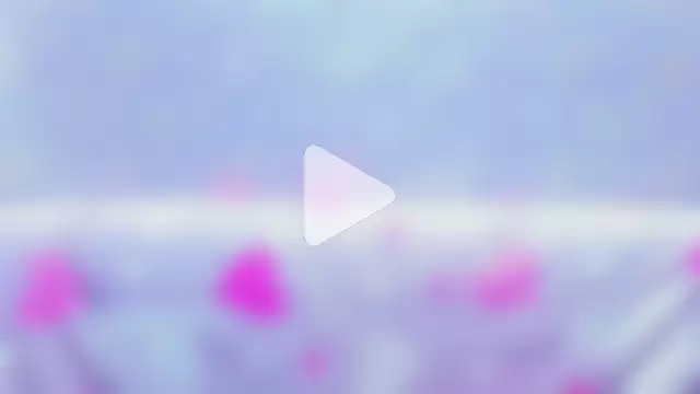 Vanessa_Florence photo 7