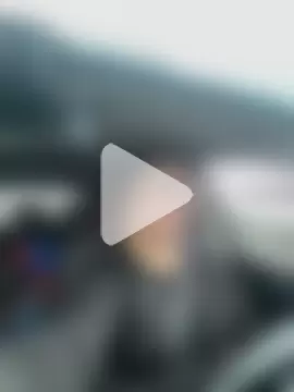 Vanilla-Cakebaum photo 10