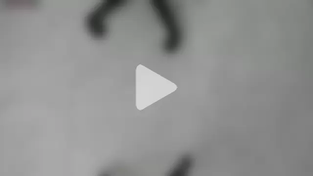 VenusBlazer photo 20