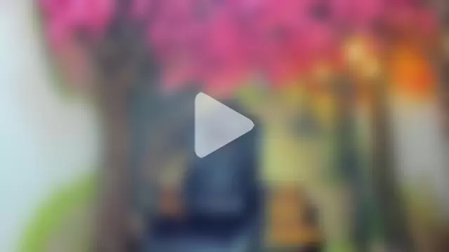 VenusBlazer photo 10