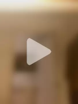 VenusEliteCo photo 6