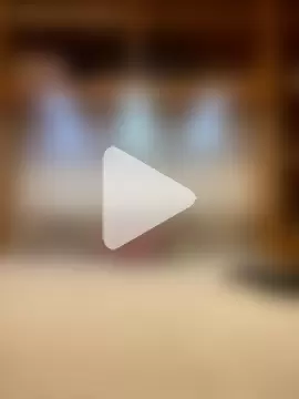 VenusEliteCo photo 4