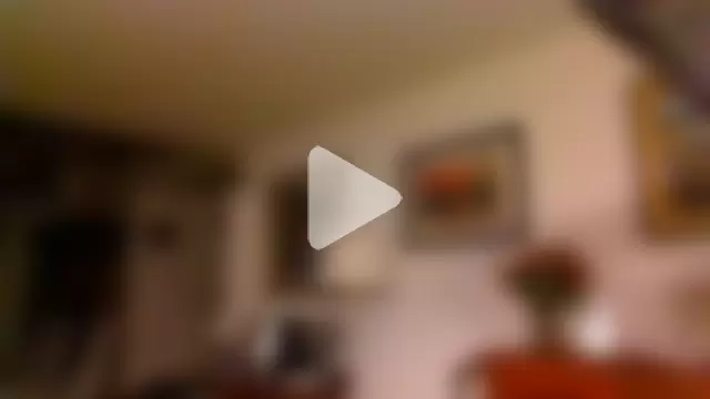 Vespa_Crabo photo 13