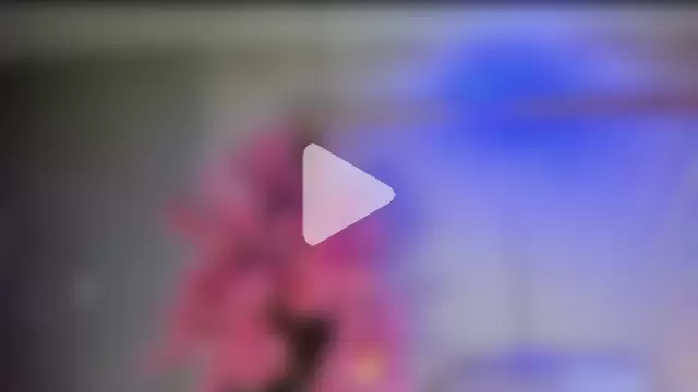 VesperVelvet photo 11