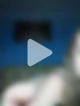 Viktoriia27 photo 14