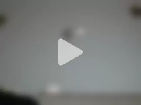 Vince_Favent photo 10