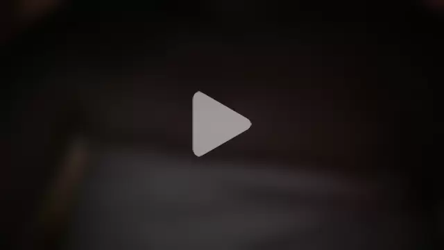 Viola_sweet photo 12