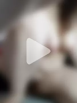 Viola_sweet_honey photo 3