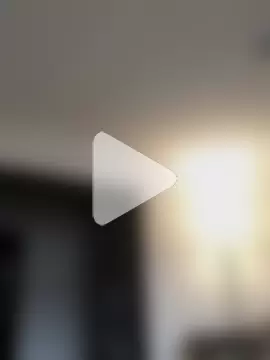 Viola_sweet_honey photo 1