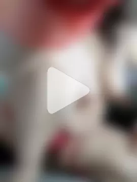 Viola_sweet_honey photo 20